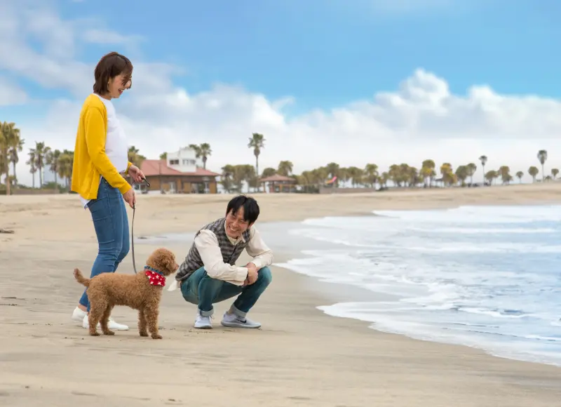 和爱犬在海滩散步